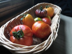 Tomates variétés anciennes - en mélange (1KG) Tomates variétés anciennes - en mélange (1KG)